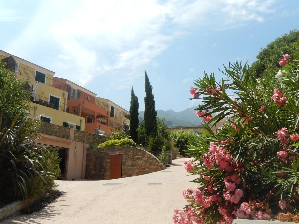 Erbalunga - Residence Les Bosquets - Cap Corse Location Brando Eksteriør billede